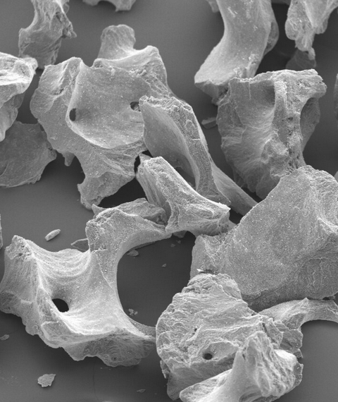 Гранулы с коллагеном bioOST XENOGRAFT Collagen  0,25-1мм, 1см3  